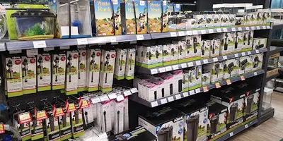 AQUAEL ZOO, Płock, CH Auchan